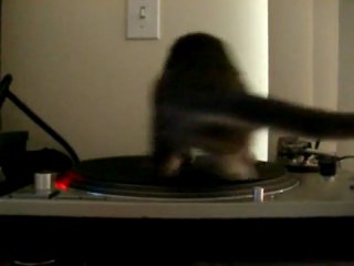 kote on a turntable