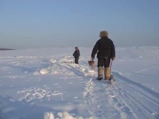 happy people. yenisei. winter part 4