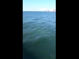 video by hunting fishing